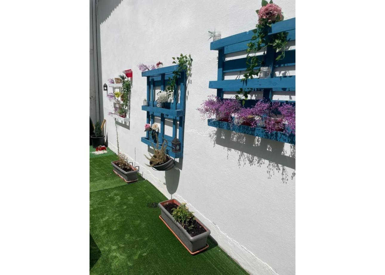 Hotel Acebo Plaza Mayor Jaca Dış mekan fotoğraf